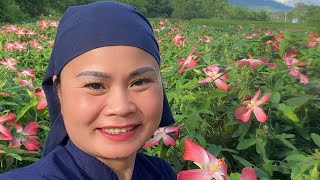 Cuộc sống quanh ta( chuyện mẹ chồng nàng dâu