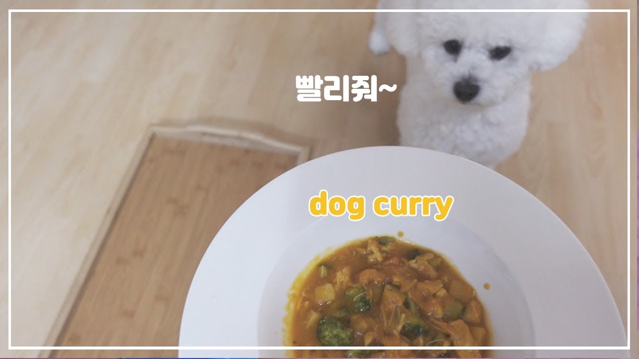 강아지가 먹을 수 있는 카레 만들기 DOG CURRY YouTube