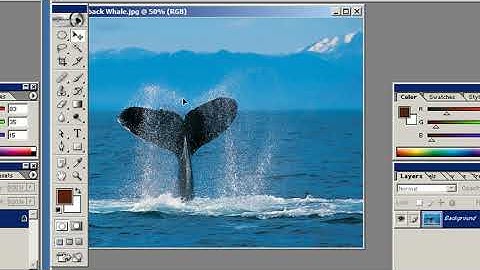 Photoshop Tutorial - How To Unlock A Layer (Beginners)