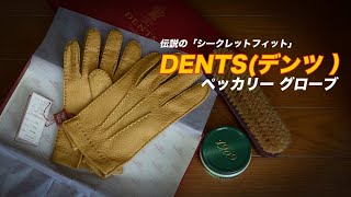 伝説の「シークレットフィット」DENTS ペッカリーグローブ