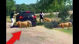 Stupid Family *LEAVES* Car AT ZOO!