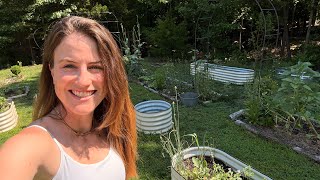 Squash, New Flowers and An Herb Garden Update | This Week In The Garden!!