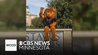 Meet Minnesota's lesser-known college mascots