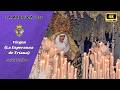 [4K]🟣La Madrugá 26 I Virgen (La Esperanza de Triana) I C/Tetuán