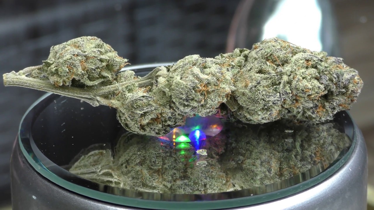 MARIJUANA MONDAY Washing Machine RIPPER SEEDS YouTube