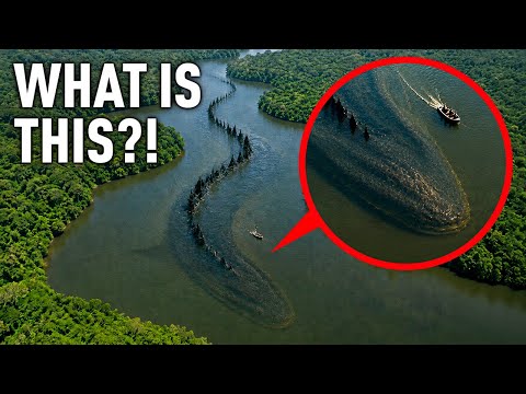 The World's Deadliest River Has Been Revealed