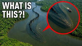 The World's Deadliest River Has Been Revealed