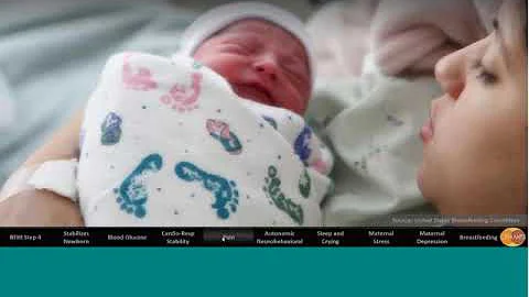 Safety Training: Avoiding Sentinel Events on the Journey toward Baby-Friendly