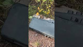 Video of Copper Creek Campground, MT from Kaimy M.