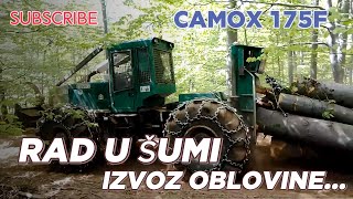 RAD U ŠUMI I IZVOZ OBLOVINE BUKVE SA ŠUMSKIM TRAKTOROM CAMOX F175 PO SUHOM I PRAŠINI...