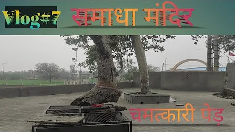 श्री जगन्नाथ पुरी समाधा मंदिर हांसी🙏(Ashu Saini Hansi Ala)