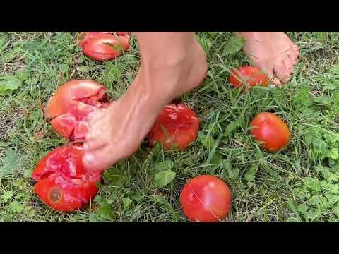 Only barefoot—and not just tomatoes!!! Subscribe now 🍅