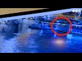 Uhapšen ukrajinski kapetan broda koji je učestvovao u nesreći na Dunavu