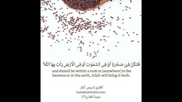 سورة لقمان بصوت الشيخ إدريس أبكر.....Surah Luqman by Sheikh Idress Abkar