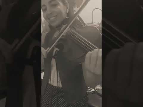Sebo & The Rollin´ Tides - Honky Tonk Festival 2026