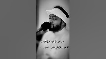 احمد النفيس سورة النمل #احمد_النفيس #القرآن_الكريم #فلسطين