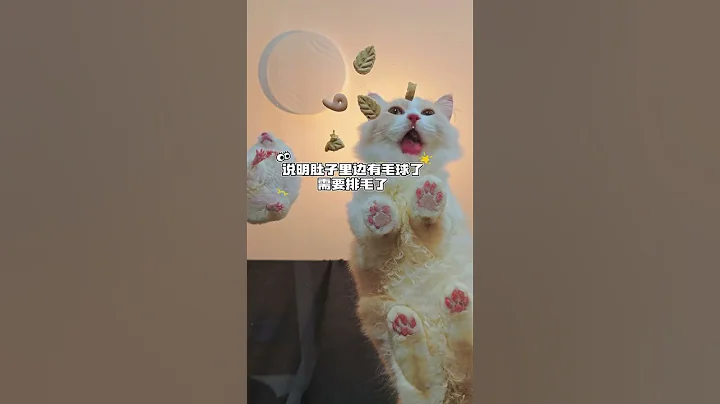 Watch the video about Daze Mouse also speaks words! #cats #hamsters #Munchkin Debut Project #cat freeze dried #pets eating