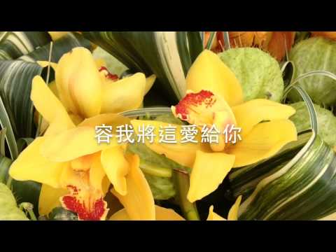 花MV — 伍偉基
