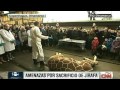 El sacrificio de una jirafa provoca amenazas