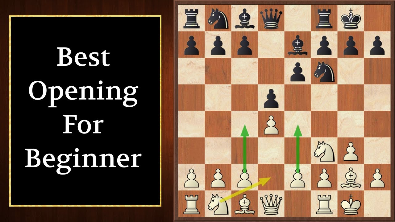 chess tactics for beginners pdf