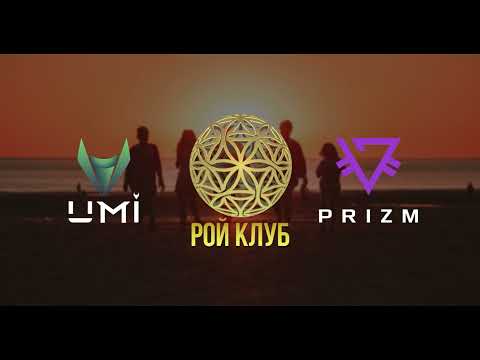 Рой Клуб. Денежные потоки. Классификация и виды денежных потоков.