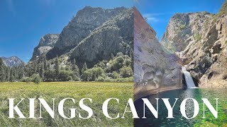 KINGS CANYON NATIONAL PARK in ONE DAY | Grant Grove, Zumwalt Meadow | USA road trip & travel vlog