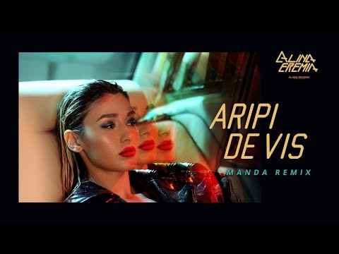 Alina Eremia - Aripi De Vis | Manda Remix