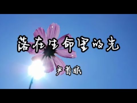落在生命里的光   尹昔眠  歌词版#你是落在我世界里的一束光向我奔来 万物都生长