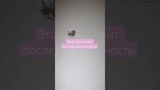 Hamur Kaynar, Zanaatkar Değil.