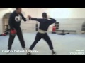 Boxe anglaise 1 leon cfatnassik