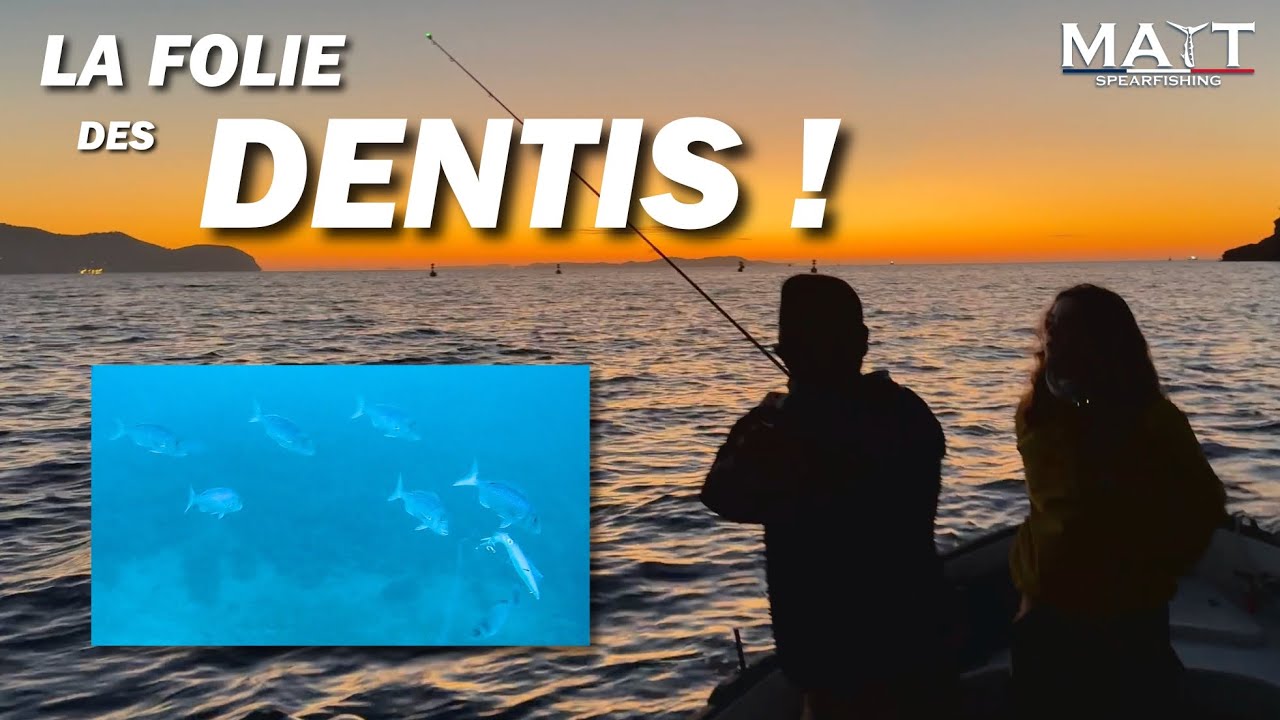 Journée pêche au Vif : La Folie des DENTIS