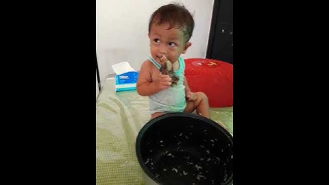 Sop tulang Rusa