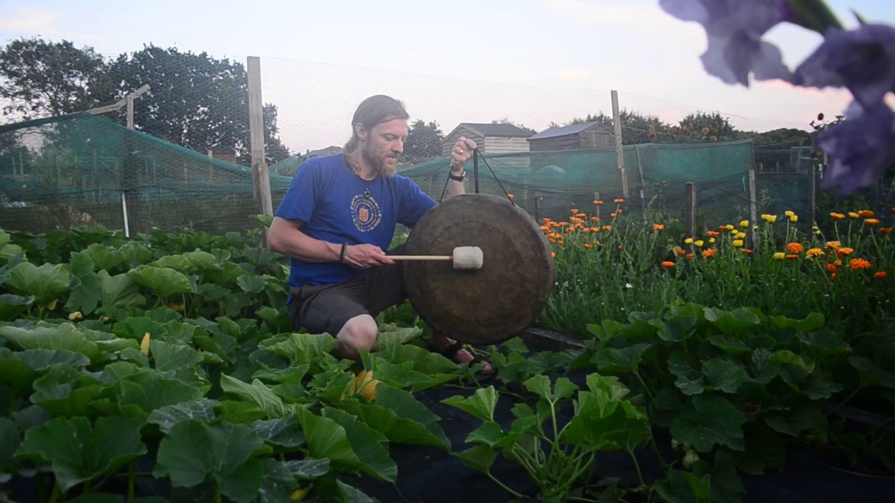 Gong vibrations amongst allotment vegetables YouTube