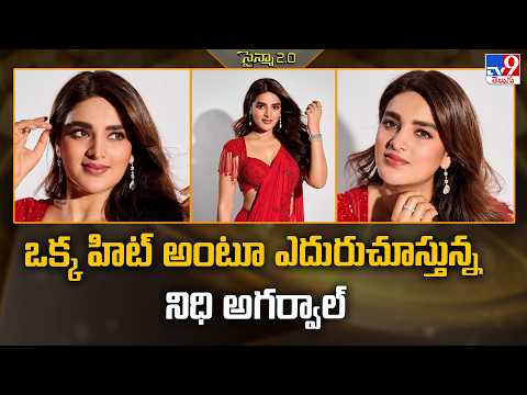 Nidhhi Agerwal: ఒక్క హిట్‌ అంటూ ఎదురుచూస్తున్న నిధి అగర్వాల్‌ - TV9