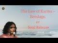 "The Law of Karma – Bondage, or Soul Release" Satsang