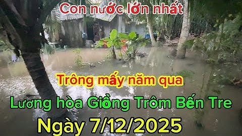 Con nước lớn nhất trong mấy năm qua #luonghoa #giongtrom #bentre #mientay #muanuocnoi 