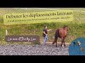 Dbuter les dplacements latraux en travail au sol avec son cheval