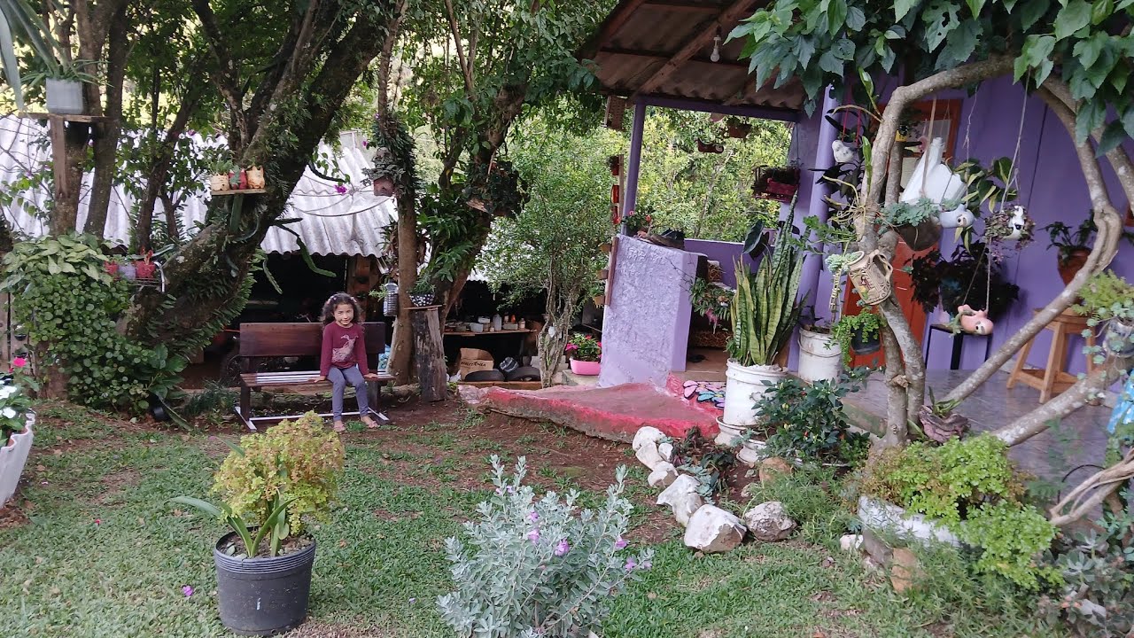 Mais novidades no nosso jardim #sítio 