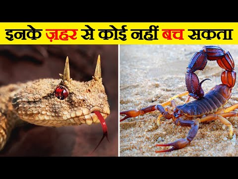 दुनिया के सबसे जहरीले जानवर | Most Poisonous Animals in the World