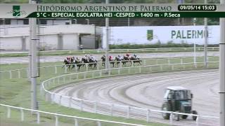 20140509 5 palermo