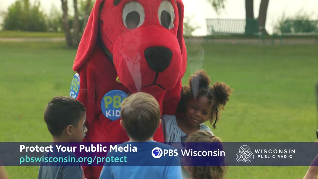 Protect Your Public Media