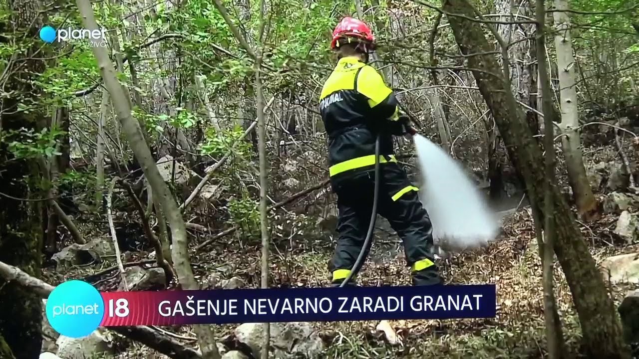 POŽAR POD NADZOROM TRSTELJ 07.  07.  2022