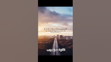 (قل لن يصيبنا إلا ما كتب الله لنا.) القارئ حمزة بوديب #قناة القرآن الكريم#