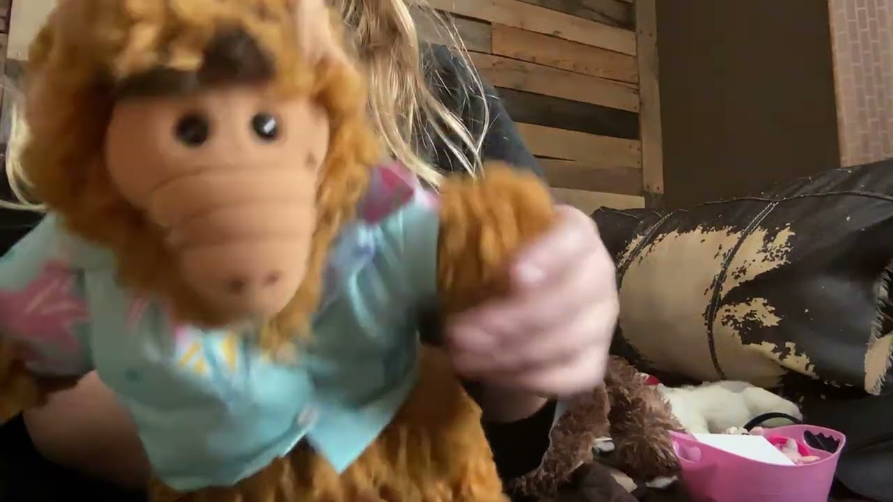 My shop haul (small haul )