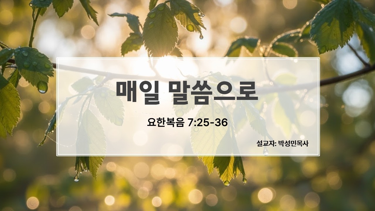 순전한교회 / 요한복음 7:25-36 / 박성민목사 /2026.02.23(월) 매일말씀으로
