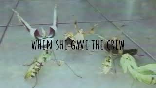 gone (lyric video)
