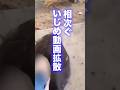 会津若松女子中学生を蹴りつけるいじ●の件について#消防士#レスキュー#shorts　#会津若松市