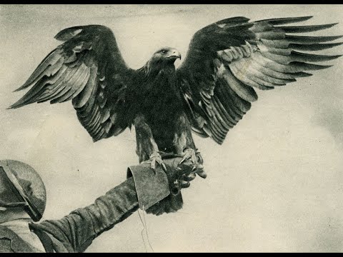 IRMA GIGANI 2019 სიტკბო შემოქმედში