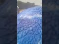 your stupid videos sould be stopped
