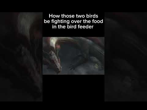 Those two birds be like 💀 |Chang Chi|